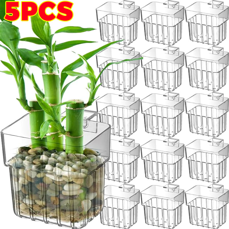 Aquarium Fish Saltwater - 1/5pcs Aquarium Decoration Plant Cup Transparent