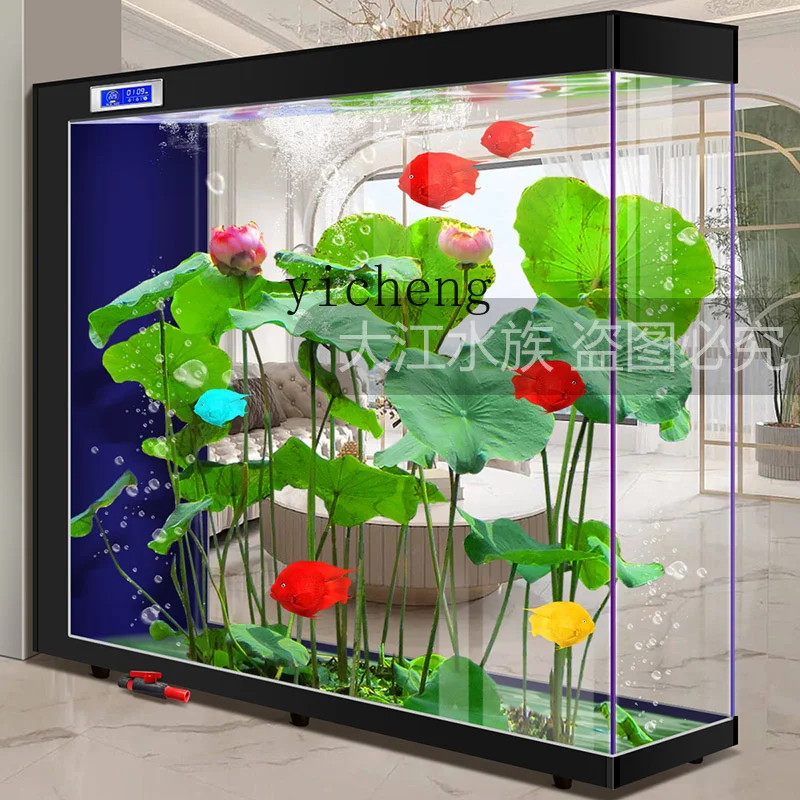XL 2 lazy water-free living ro - Xl Aquarium Fish บทวิจารณ์และราคา