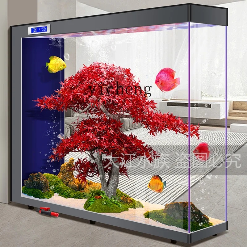 XL 2 lazy water-free living ro - Xl Aquarium Fish บทวิจารณ์และราคา