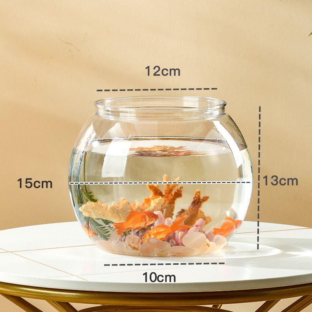 Home Decor Clear Transparent R - Aquarium Fish Names บทวิจารณ์และราคา