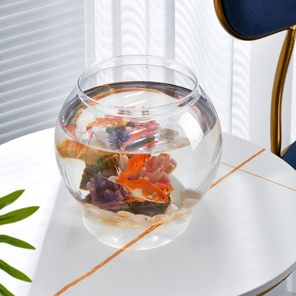 Home Decor Clear Transparent R - Aquarium Fish Names บทวิจารณ์และราคา