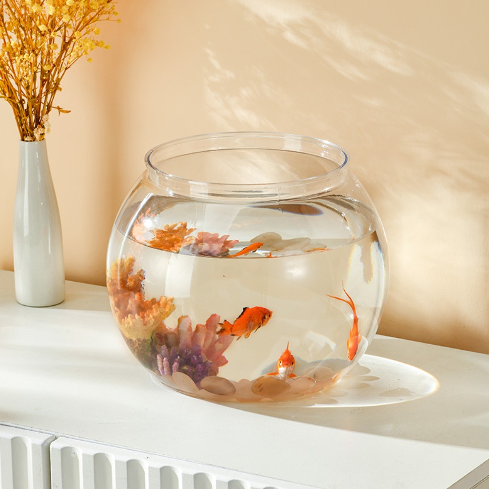 Home Decor Clear Transparent R - Aquarium Fish Names บทวิจารณ์และราคา