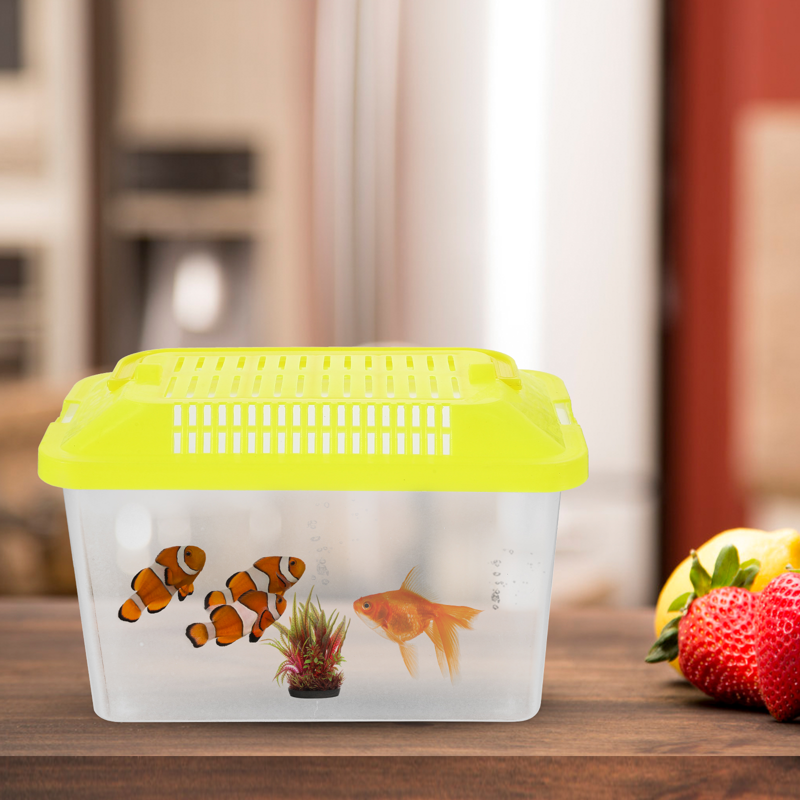 Plastic Turtle Fish Tank Aquar - Aquarium Fish For Sale บทวิจารณ์และราคา