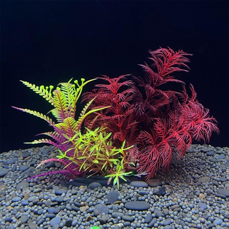 Artificial Aquarium Decoration - Aquarium Fish For Sale บทวิจารณ์และราคา