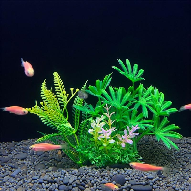 Artificial Aquarium Decoration - Aquarium Fish For Sale บทวิจารณ์และราคา
