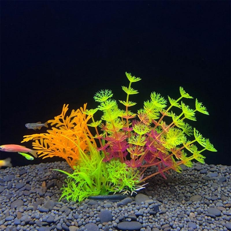 Artificial Aquarium Decoration - Aquarium Fish For Sale บทวิจารณ์และราคา