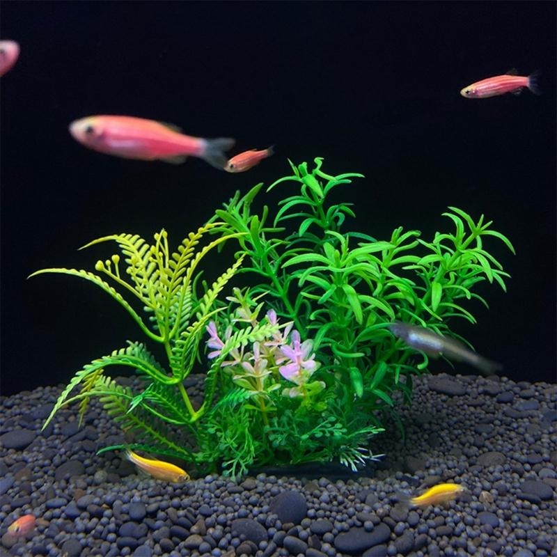 Artificial Aquarium Decoration - Aquarium Fish For Sale บทวิจารณ์และราคา