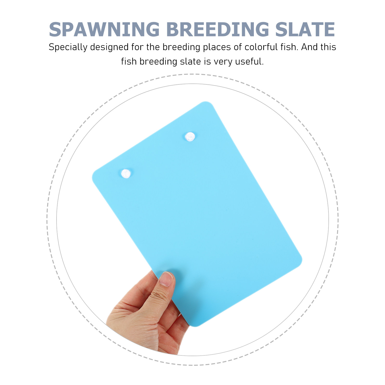 2Pcs Detachable Fish Spawning  - Aquarium Fish Saltwater บทวิจารณ์และราคา
