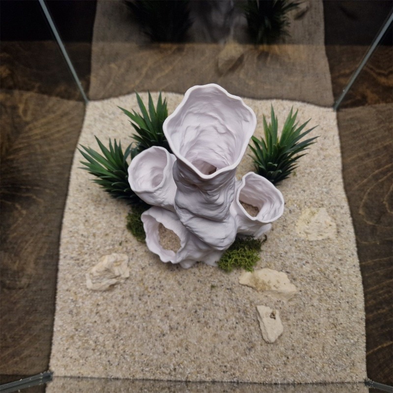 Hot Sale 3D Printed Coral Tunn - Aquarium Fish For Sale บทวิจารณ์และราคา