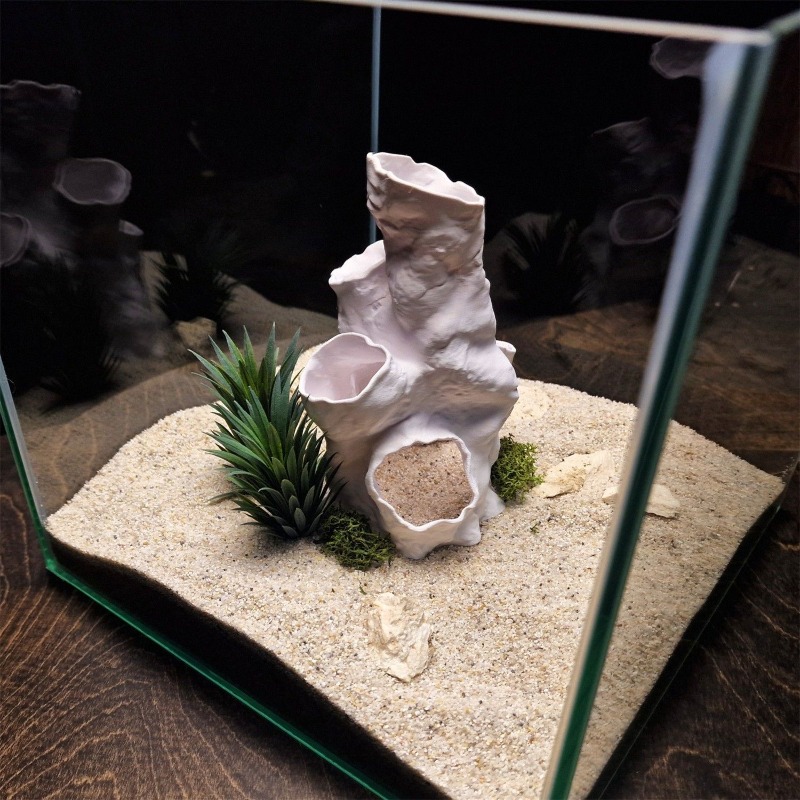 Hot Sale 3D Printed Coral Tunn - Aquarium Fish For Sale บทวิจารณ์และราคา