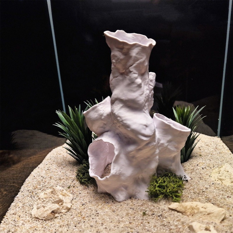 Hot Sale 3D Printed Coral Tunn - Aquarium Fish For Sale บทวิจารณ์และราคา