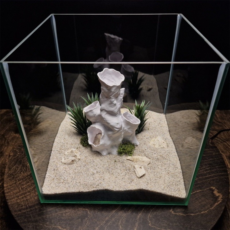 Hot Sale 3D Printed Coral Tunn - Aquarium Fish For Sale บทวิจารณ์และราคา