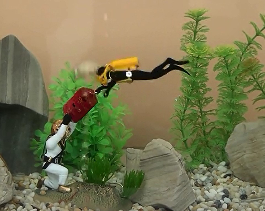 Hot Aquarium Decoration Unders - Aquarium Fish Gif บทวิจารณ์และราคา