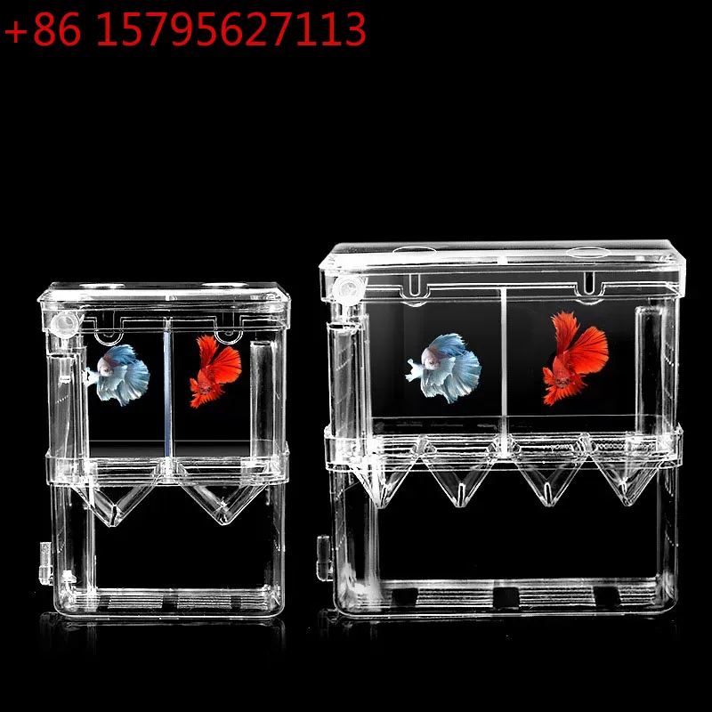 Aquarium Acrylic Breeder Box S - Xl Aquarium Fish บทวิจารณ์และราคา