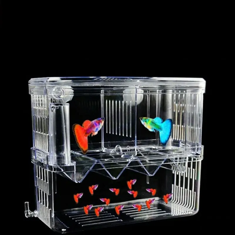 Aquarium Acrylic Breeder Box S - Xl Aquarium Fish บทวิจารณ์และราคา