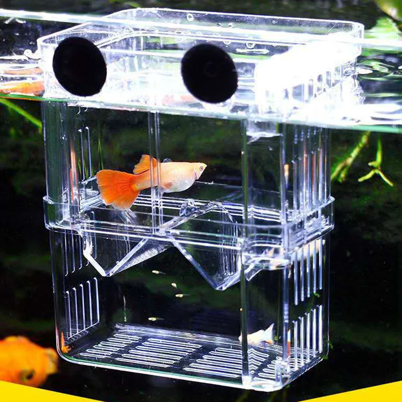 Aquarium Acrylic Breeder Box S - Xl Aquarium Fish บทวิจารณ์และราคา
