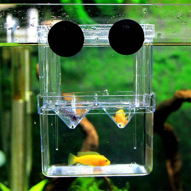 Aquarium Acrylic Breeder Box S - Xl Aquarium Fish บทวิจารณ์และราคา