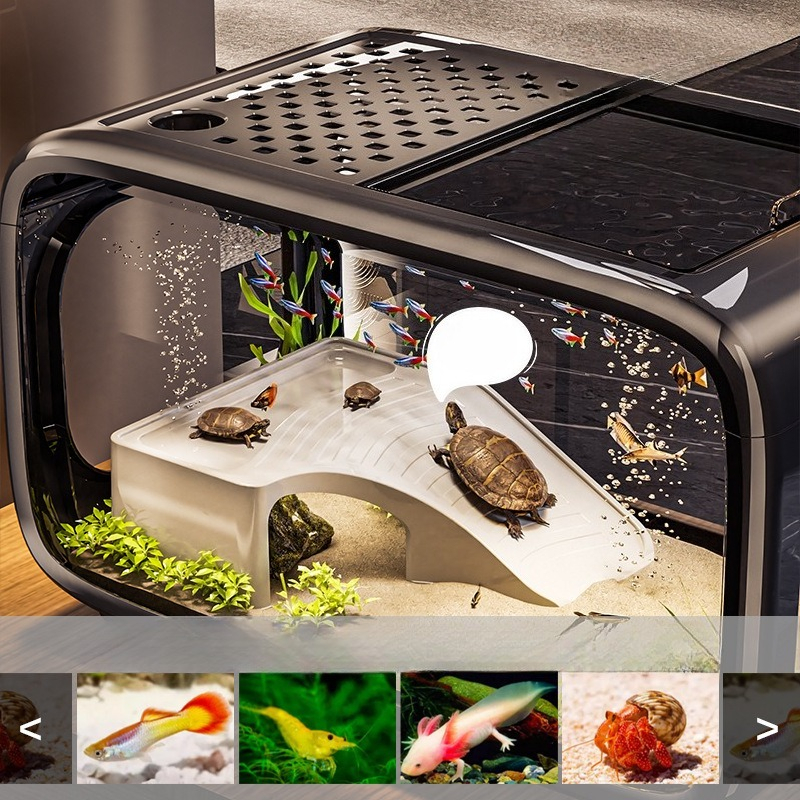 Luxury Covered Desktop Fish Ta - Aquarium Fish Names บทวิจารณ์และราคา