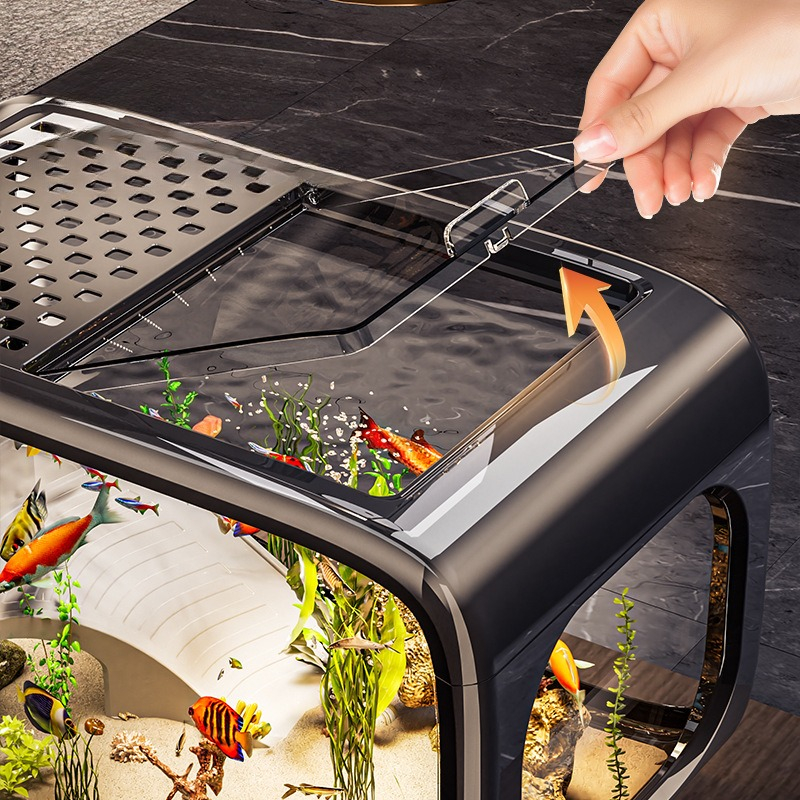 Luxury Covered Desktop Fish Ta - Aquarium Fish Names บทวิจารณ์และราคา