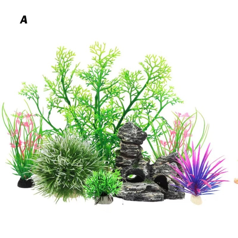 10pcs Hot Selling New Arrival  - Aquarium Fish For Sale บทวิจารณ์และราคา