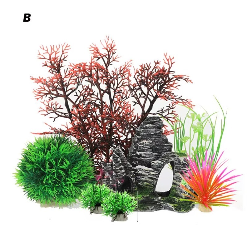 10pcs Hot Selling New Arrival  - Aquarium Fish For Sale บทวิจารณ์และราคา