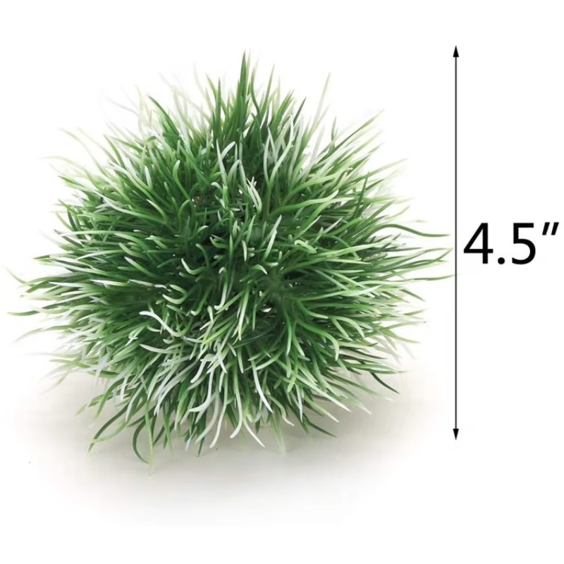 10pcs Hot Selling New Arrival  - Aquarium Fish For Sale บทวิจารณ์และราคา
