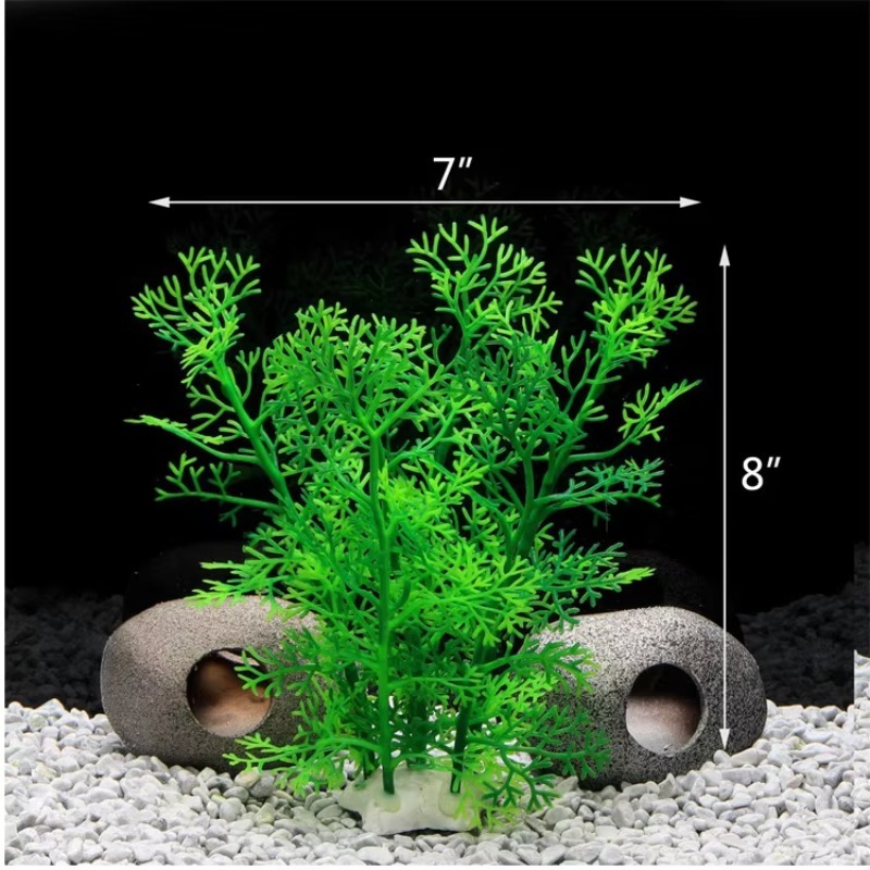 10pcs Hot Selling New Arrival  - Aquarium Fish For Sale บทวิจารณ์และราคา