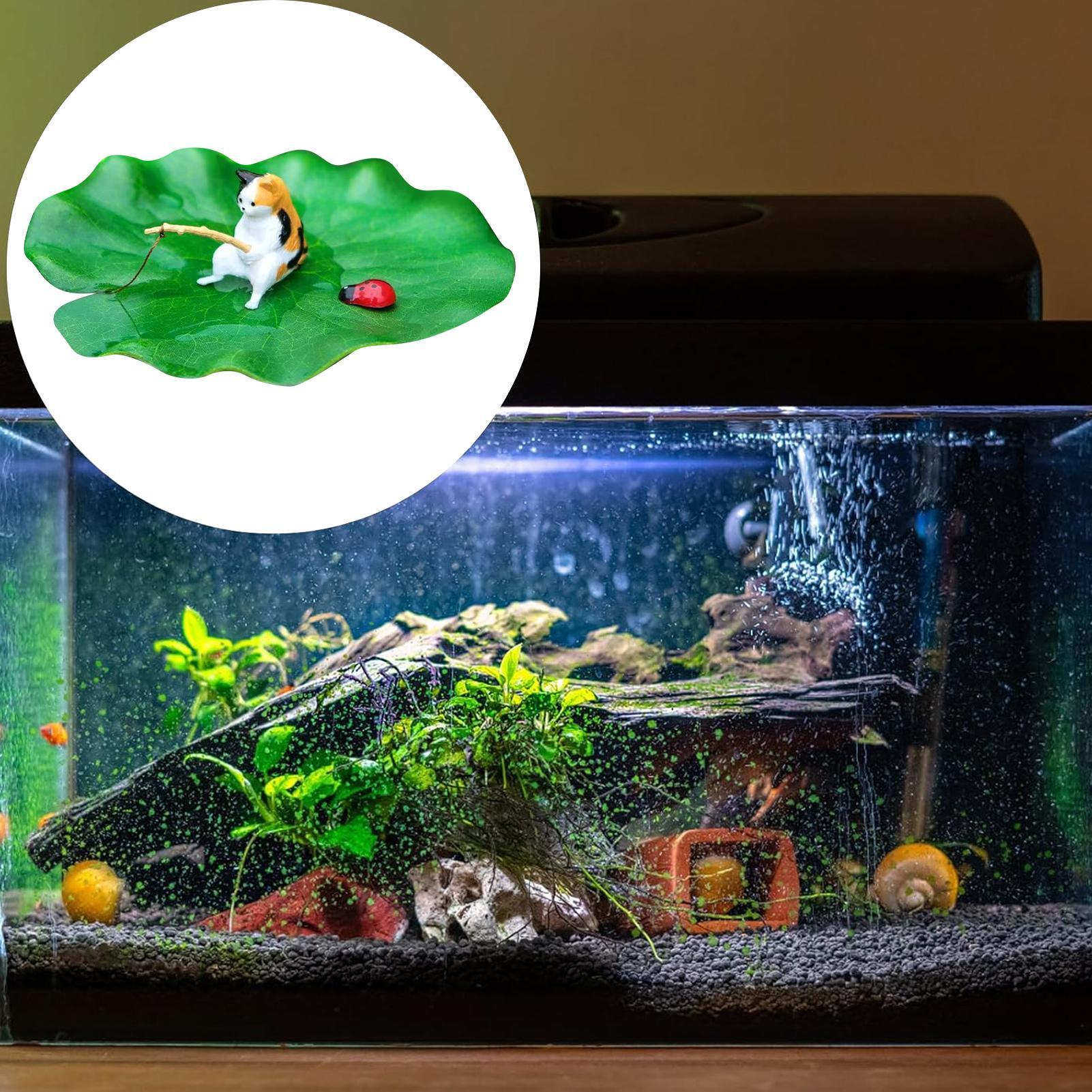 Cat Fishing on Floating Lily P - Aquarium Fish Names บทวิจารณ์และราคา
