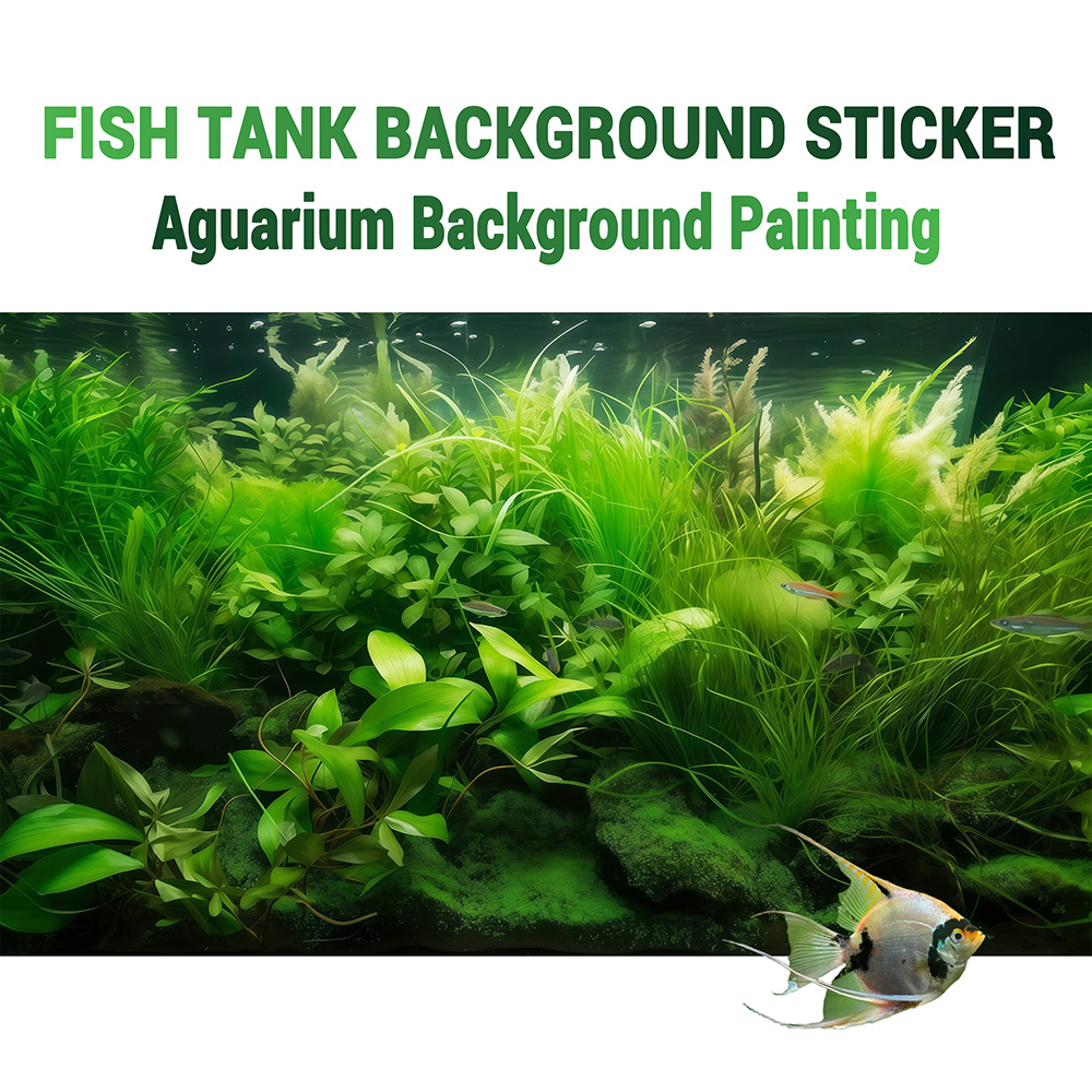 Water Grass Paradise，fish tank - Aquarium Fish Paradise บทวิจารณ์และราคา