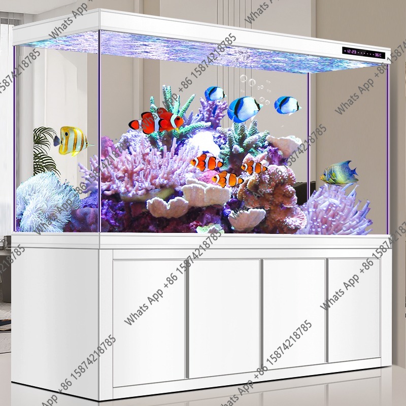 X Arowana Tank Ultra-white Gla - Xchange Aquarium Fish บทวิจารณ์และราคา