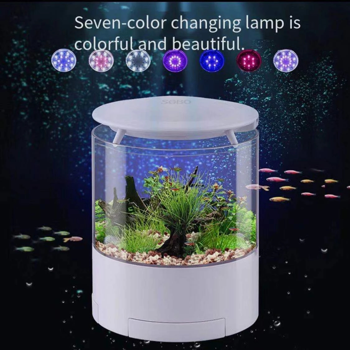 Round colorful lights desktop  - Aquarium Fish For Sale บทวิจารณ์และราคา