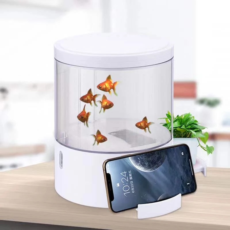 Round colorful lights desktop  - Aquarium Fish For Sale บทวิจารณ์และราคา