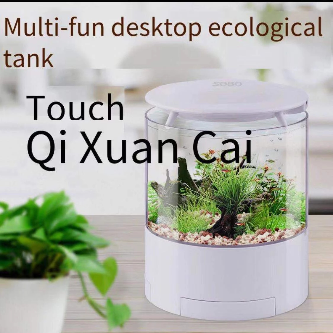 Round colorful lights desktop  - Aquarium Fish For Sale บทวิจารณ์และราคา