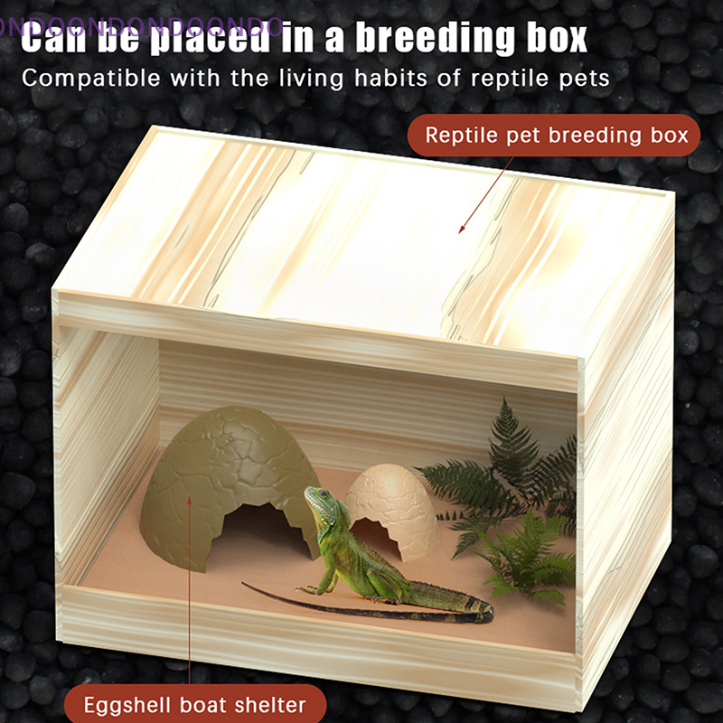 Lizard's Paradise: Reptile She - Aquarium Fish Paradise บทวิจารณ์และราคา