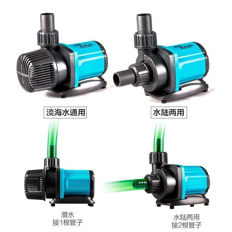 Frequency conversion ultra-qui - Aquarium Fish Common บทวิจารณ์และราคา