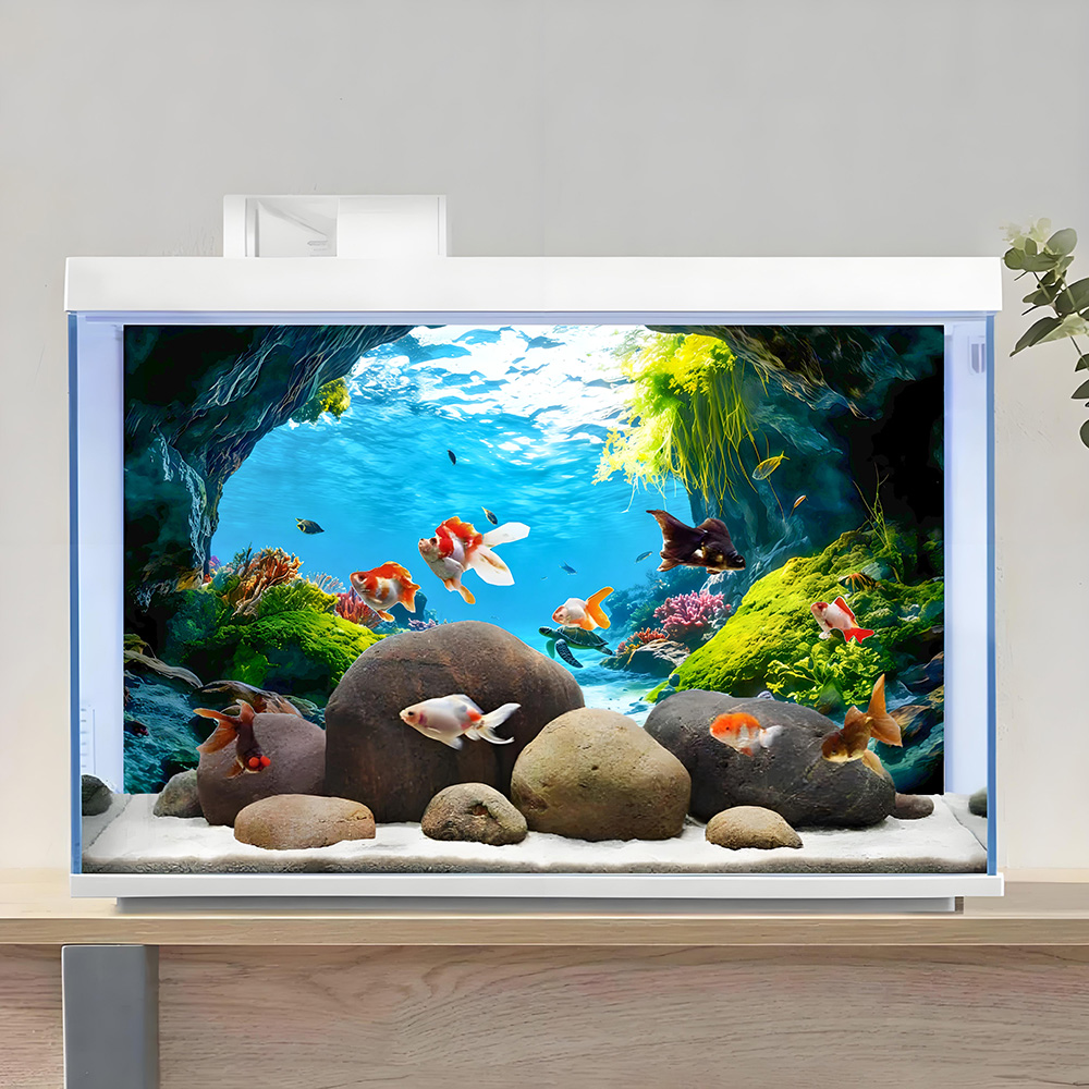 Turtle Cave Paradise，Fish tank - Aquarium Fish Paradise บทวิจารณ์และราคา