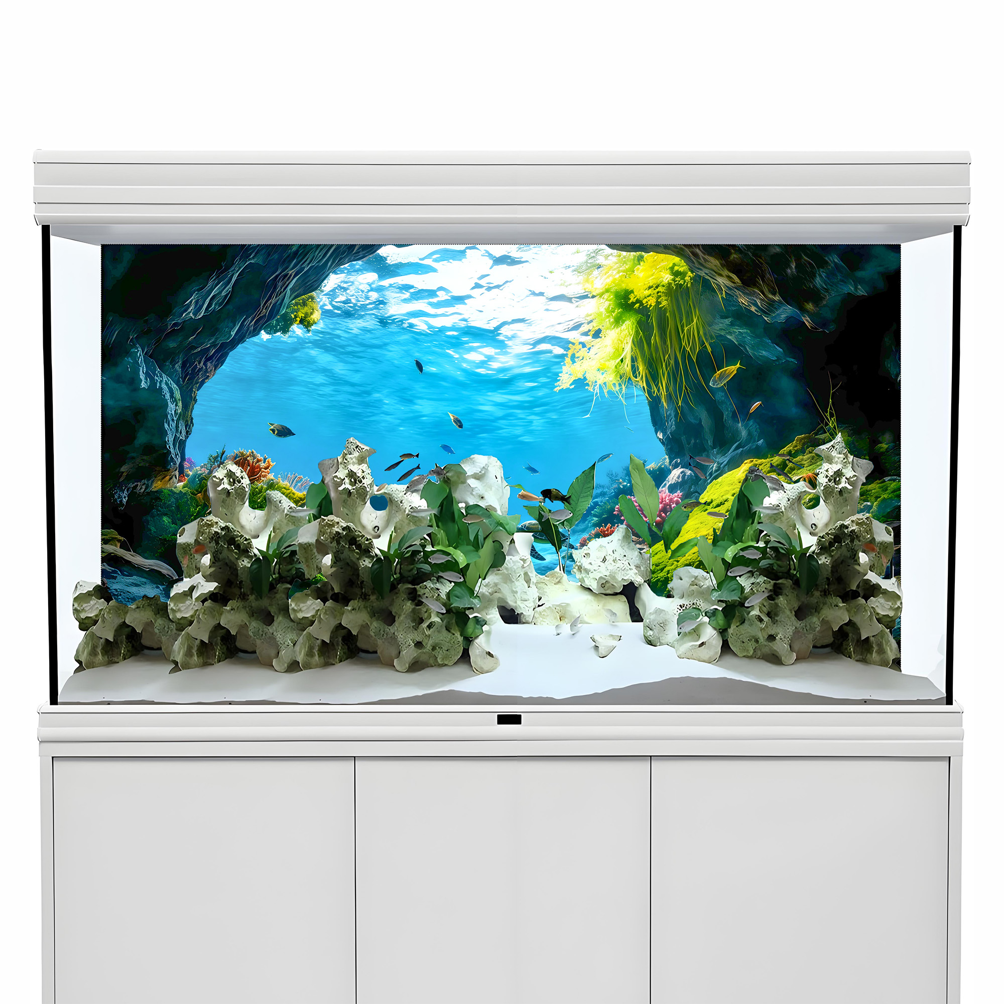 Turtle Cave Paradise，Fish tank - Aquarium Fish Paradise บทวิจารณ์และราคา