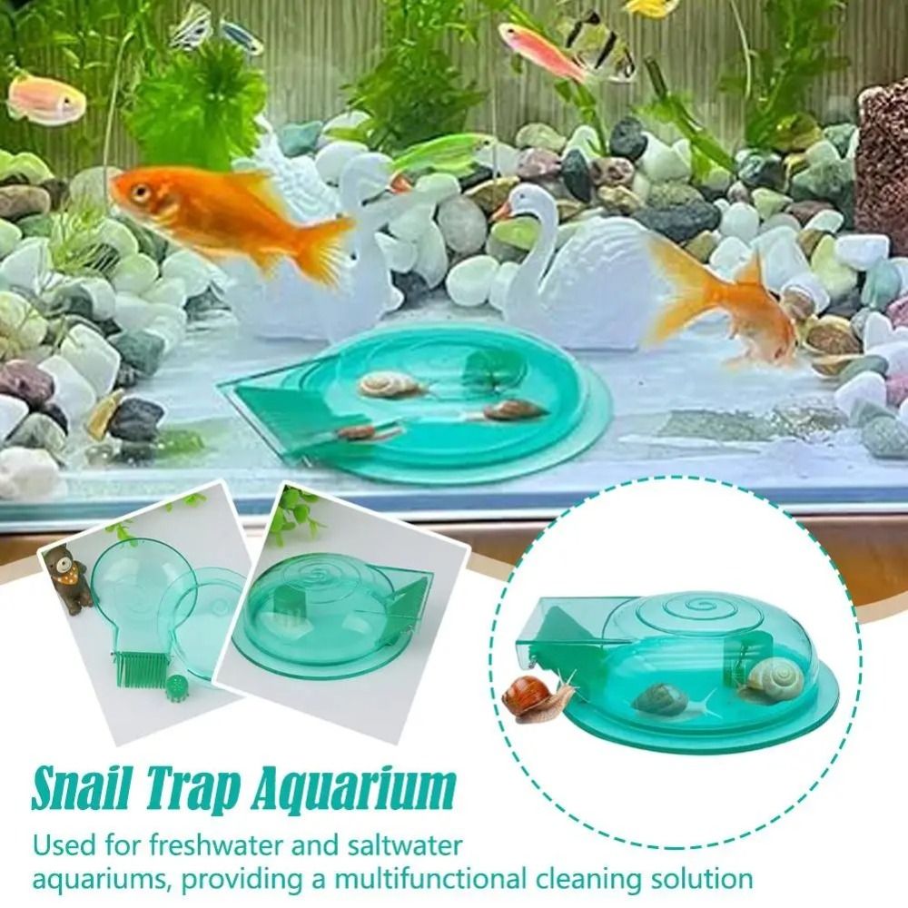 Freshwater Saltwater Aquarium  - Aquarium Fish Saltwater บทวิจารณ์และราคา