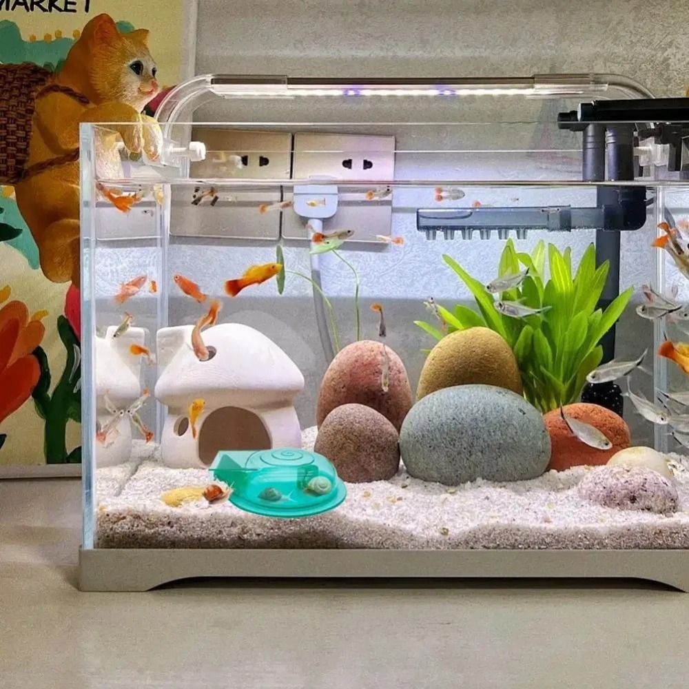 Freshwater Saltwater Aquarium  - Aquarium Fish Saltwater บทวิจารณ์และราคา