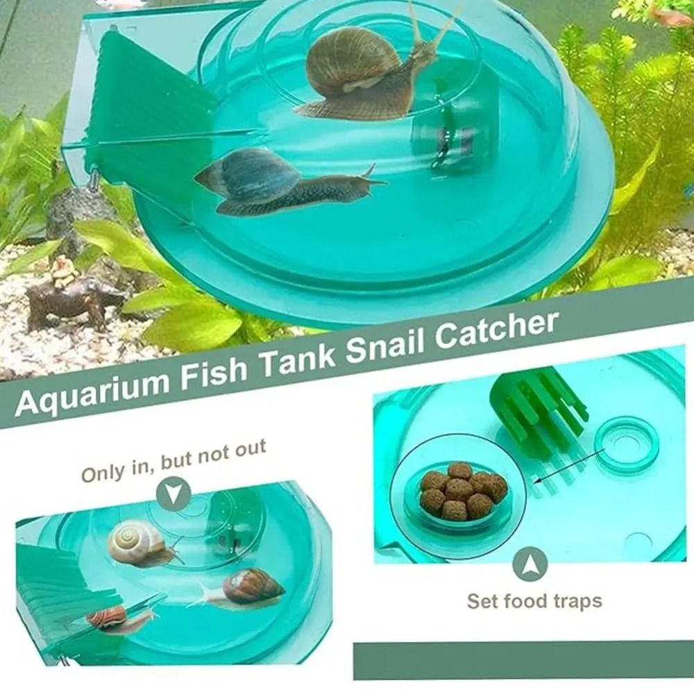 Freshwater Saltwater Aquarium  - Aquarium Fish Saltwater บทวิจารณ์และราคา