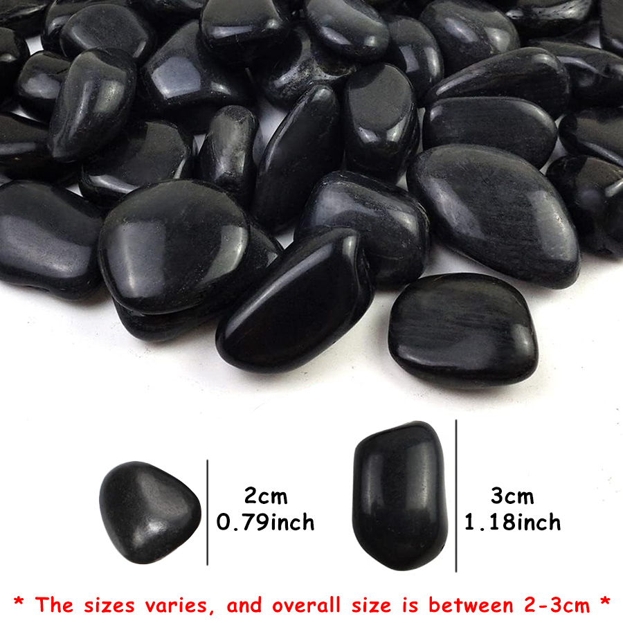 200g Black High Polished Natur - Aquarium Fish Saltwater บทวิจารณ์และราคา