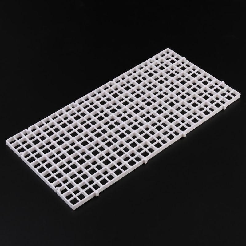 Aquarium Bottom Plate Fish for - Aquarium Fish For Sale บทวิจารณ์และราคา