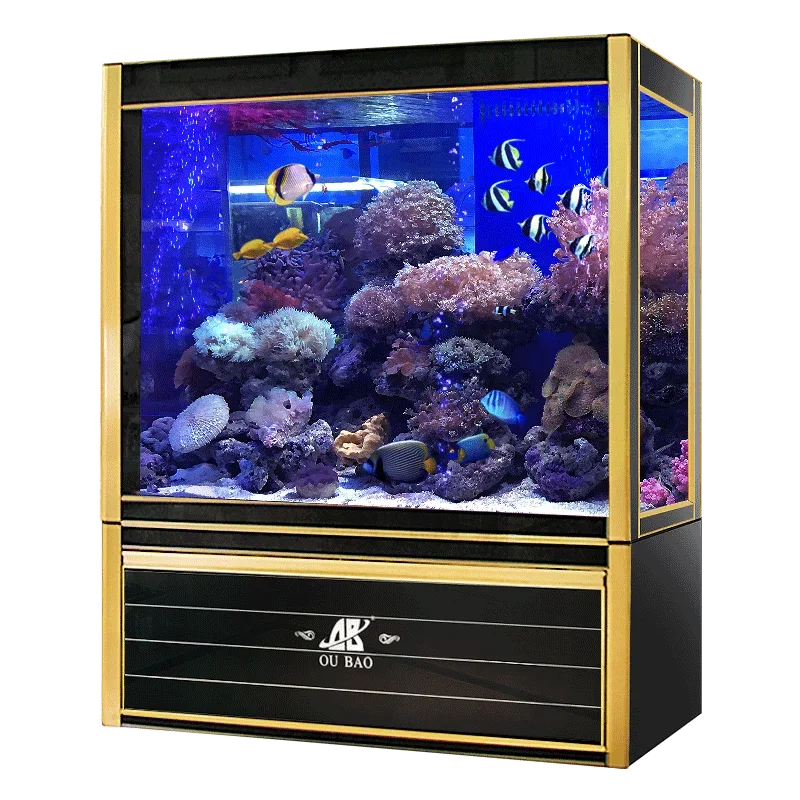 #s Aquariums & Accessories Bes - Aquarium Fish For Sale บทวิจารณ์และราคา