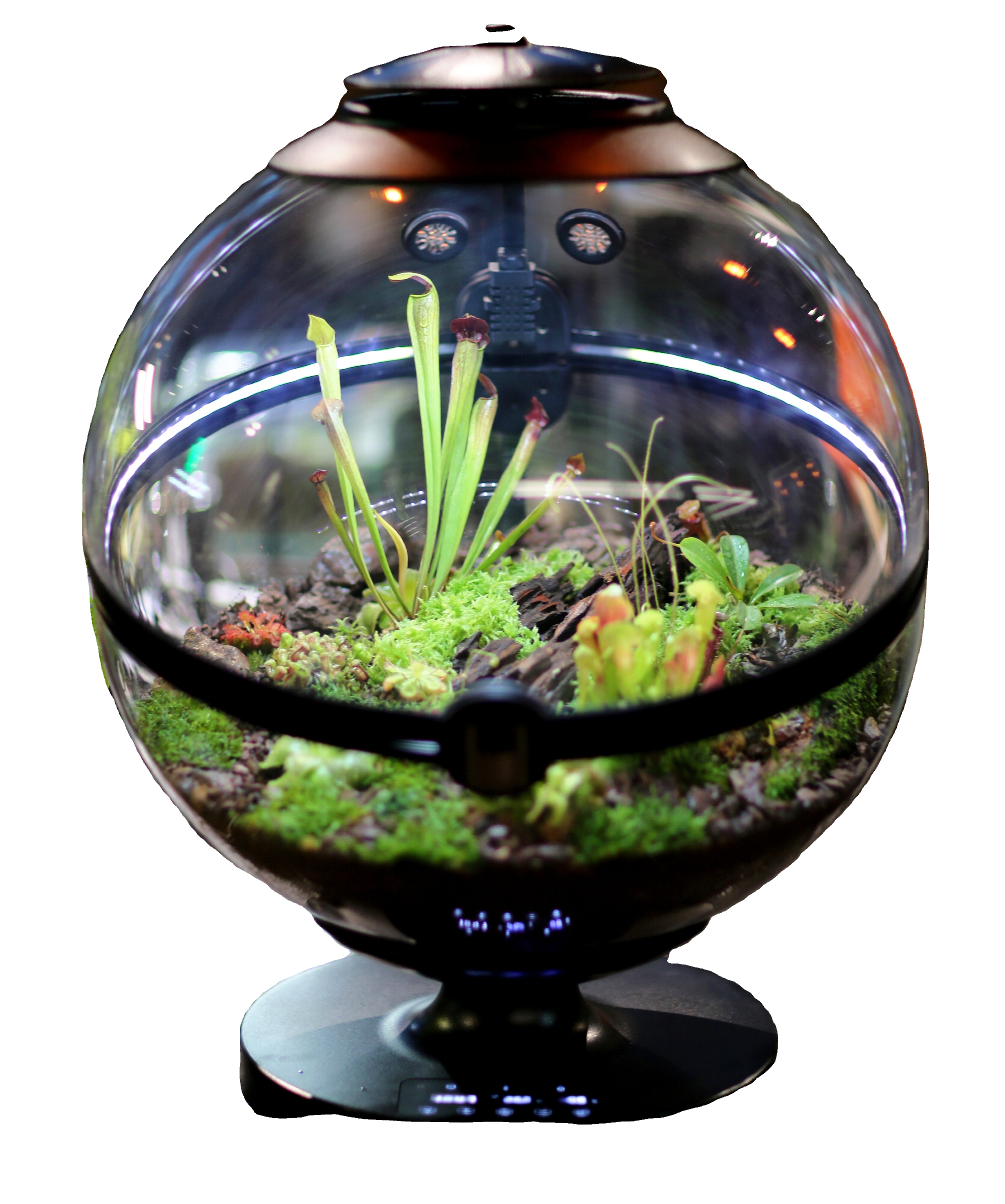 Hot Sales Acrylic Material  Ba - Aquarium Fish For Sale บทวิจารณ์และราคา