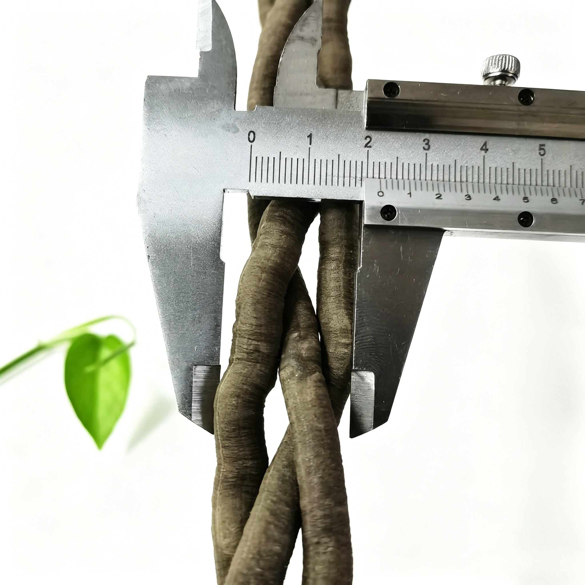 100cm Artificial Vine Fake Pla - Aquarium Fish Names บทวิจารณ์และราคา