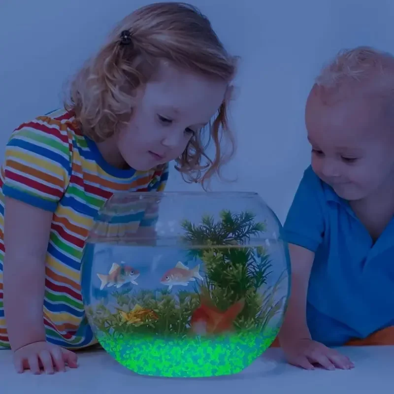 1000pcs 3-5mm Luminous Sand Gl - Aquarium Fish Saltwater บทวิจารณ์และราคา