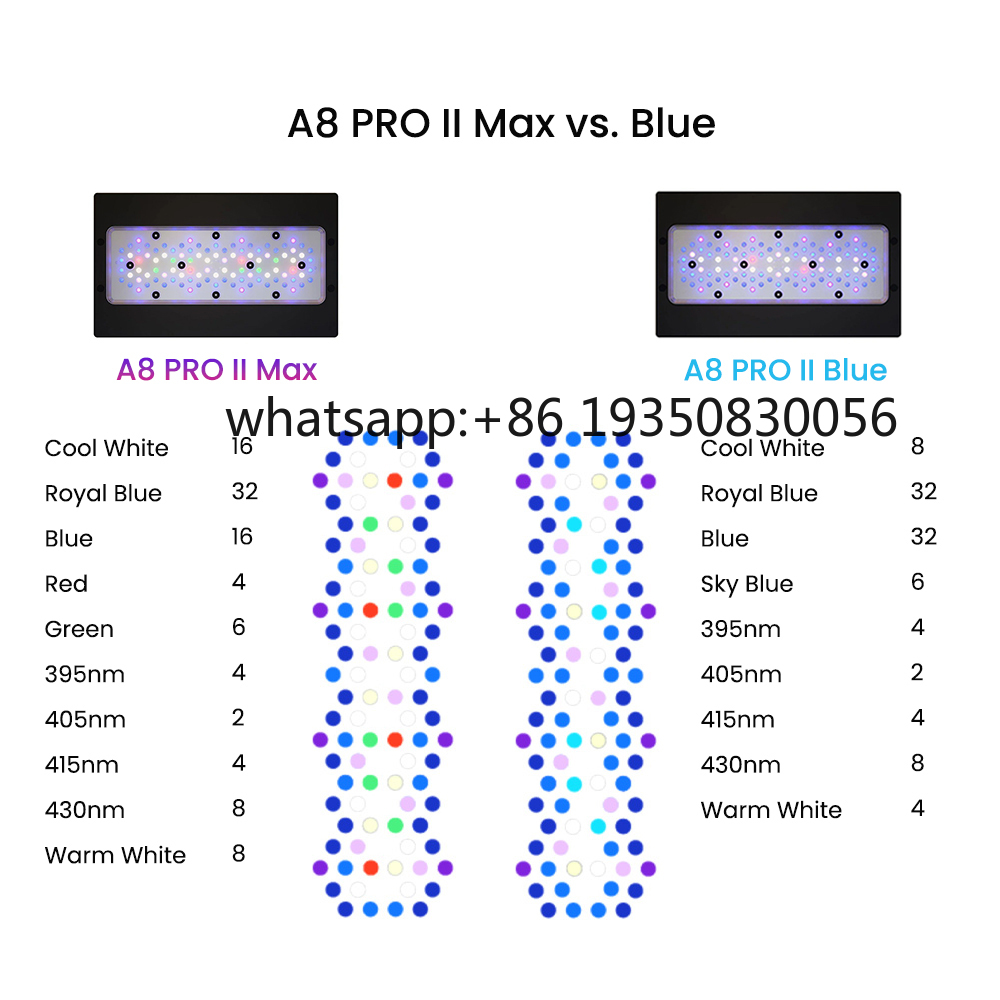 2026-A8 PRO II Max and Blue 24 - Aquarium Fish Saltwater บทวิจารณ์และราคา