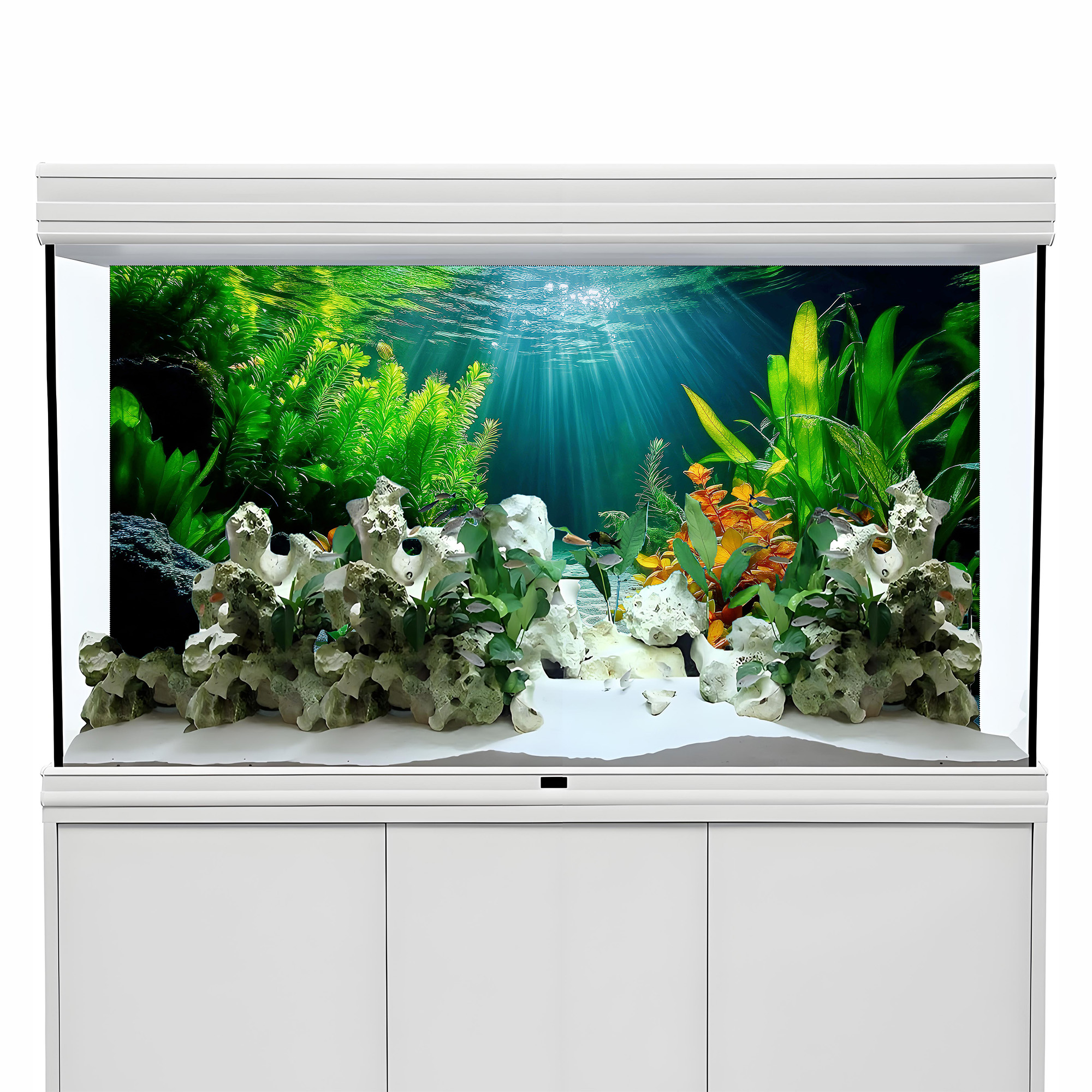 Colorful aquatic plant paradis - Aquarium Fish Paradise บทวิจารณ์และราคา