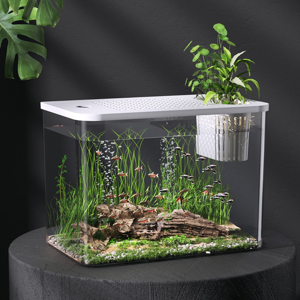 PET+ABS Fish Tank Transparent  - Aquarium Fish For Sale บทวิจารณ์และราคา