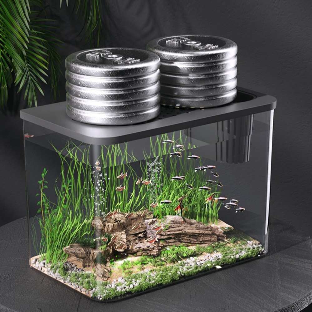 PET+ABS Fish Tank Transparent  - Aquarium Fish For Sale บทวิจารณ์และราคา
